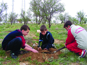 Hedefimiz 20 milyon fidan yetiştirmek