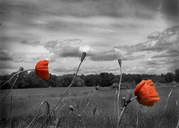 Şeytanın azdıramadığı kulların özelliği