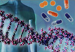 Hasar gören organ laboratuvarda iyileştirilecek