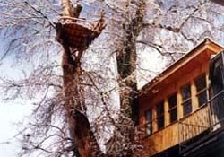 Bediüzzaman'ın ziyaretçilerine mektubu