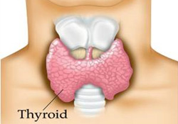 Guatr: Yanlışlar ve doğrular