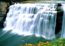 Coca Cola’ya ‘kaynakları kirletme’ cezası