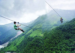 Ölümüne okuyorlar