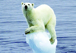 Buzullar hızla eriyor