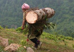 Doğu´daki kadının statüsü için AB ‘den yardım