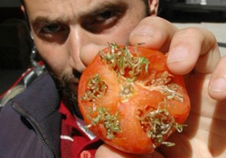 Domatesin içinden çıkan şey hayrete düşürdü