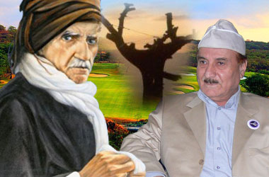 Katran ağacı kesilince ziyaretçi 5 kat arttı