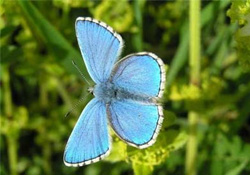 Kuraklık Dünyayı Etkiliyor