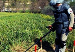 Türkiye, 26 yılda 1.269 canını mayına kurban verdi