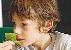 Her yenilen kırmızı ete karşılık 7 kat yeşil sebze