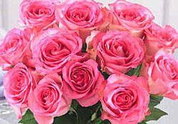 Risale-i Nur'un Isparta kahramanları