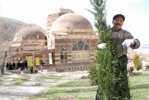 Ahmedi Hani Türbesi'nin çevresi ağaçlandırılıyor