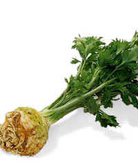 Mide ve idrar şikayetlerinin ilacı