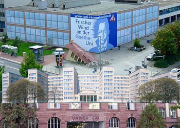 Avrupa'da gizli bir İslamlaşma mı var?