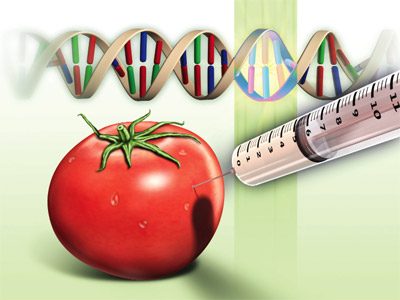 GDO'lu ürün yedirilen fareler üreme yeteneğini kaybetti