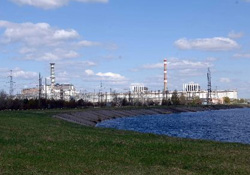 Japonlar da 'nükleere' talip