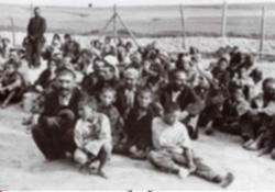 Dersim 38’in resmi ‘kıyım’ belgesi