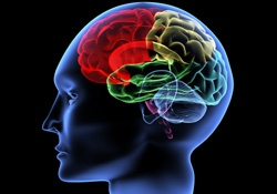 Beyninizi genç tutan 7 öneri