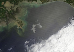 Son çare denizi yakacaklar