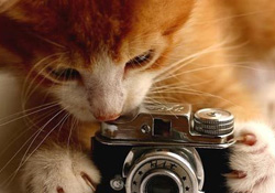 Medyanın nabzını genç iletişimciler tutuyor