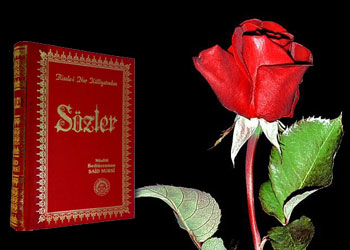 Bediüzzamanın dilinden Hz.Muhammed (asm)