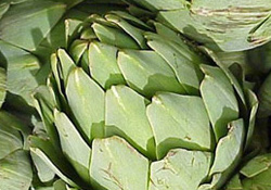 Enginarın yaprakları da vitamin deposu