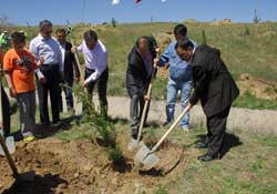 6. BYG Ormanı Batıkent'te