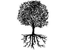 Her 10 aile şirketinden 8'i üçüncü kuşağı göremiyor