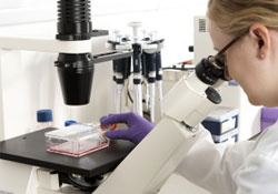 'Bunak hücre için ilaç üretimi yakın'