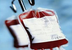 İmamlar kan bağışında bulundu