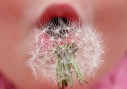 Her 13 çocuktan birinin gıda alerjisi var