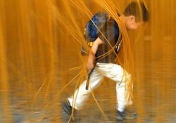 Gerçek eğitim evde olur