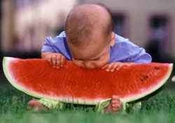 Obezite küresel boyutta bir sorun