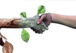 Ekolojik sistem uyarısı