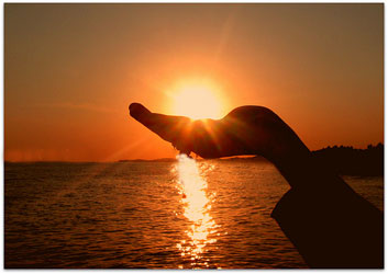 Bir kimse bir hibede bulunursa...