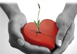 Organ bağışında çok gerideyiz