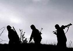Şırnak'ta depremzedelere saldırı