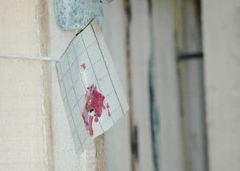 CHP'li Belediye Camiyi mühürledi