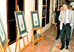 Ebru Müzesi'nin eli kulağında