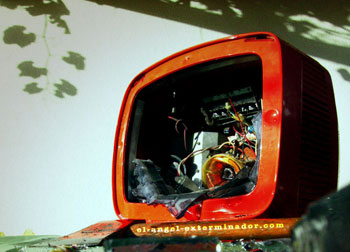 Televizyonun tuzağına ilk Amerikalılar düştü