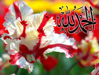 Bediüzzamanın Elhamdülillahı yeme formülü