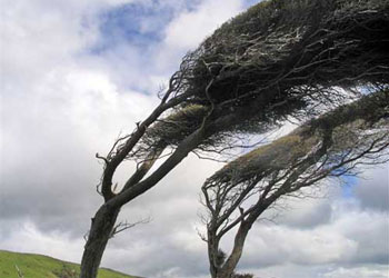 Rüzgar, Allah'ın memurudur