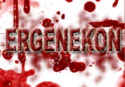 Lobiye karşı İngilizce Ergenekon