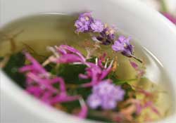 ‘Bitkisel çaylar zayıflatır’ mı?