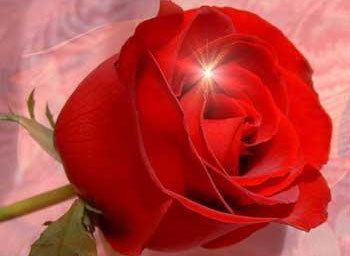 Fitneden önce hayırlı amel için acele edin