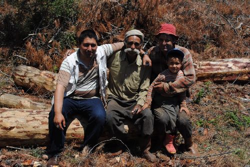 Toroslarda Alevi Sünni kardeşliği