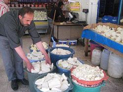 Uzmanlar, Brucella hastalığına karşı uyardı