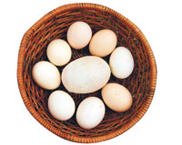 170 gramlık tavuk yumurtası