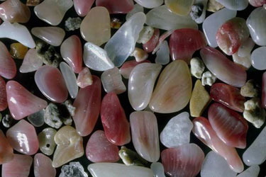 Peygamberimizin elindeki taşların zikri