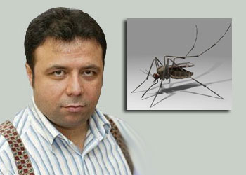 Sivrisinekler bizi sabah namazına uyandırdı